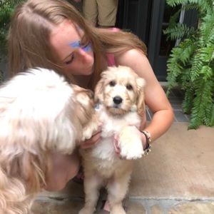 Meet your Posher, Lily